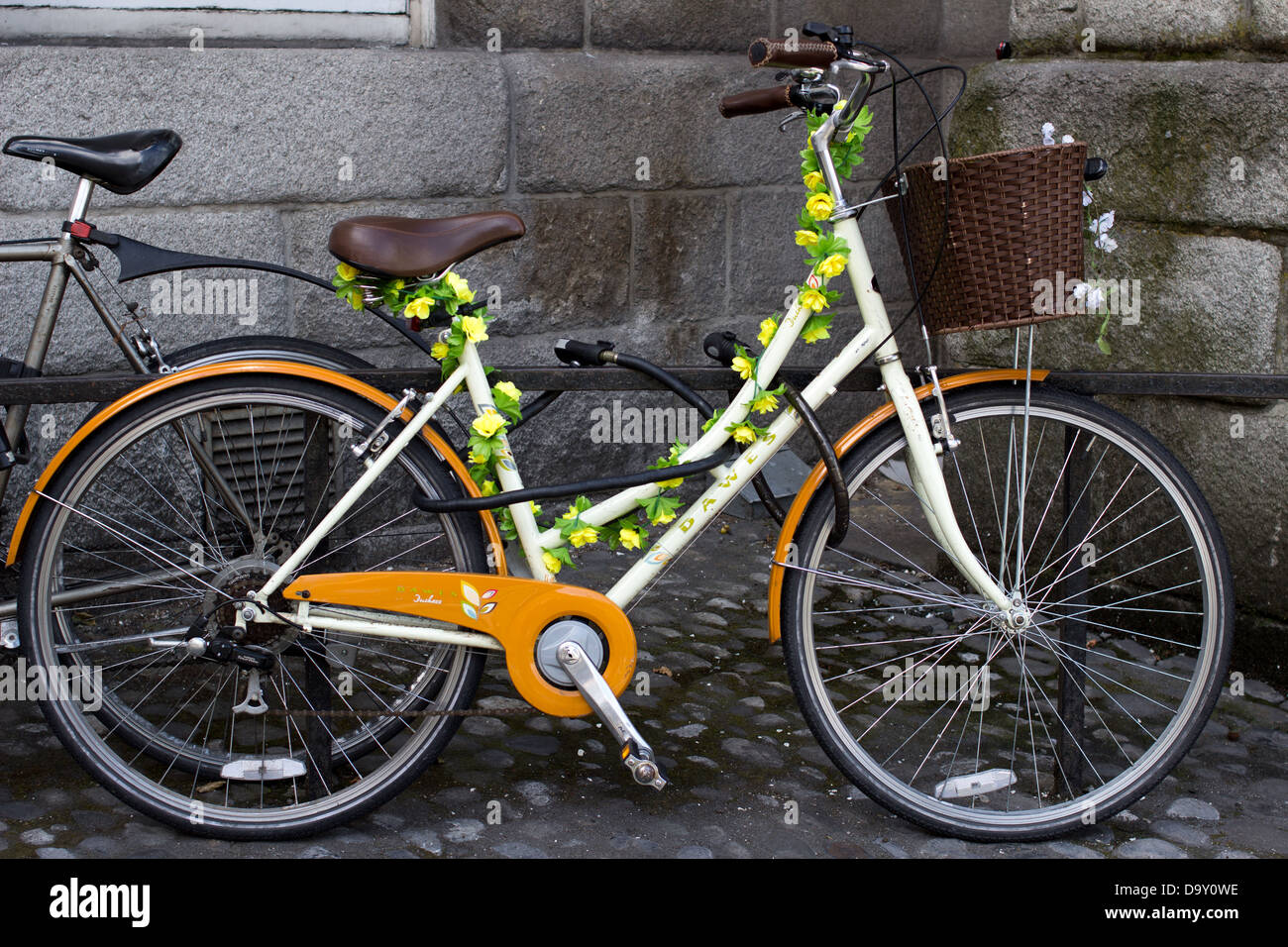 Bicycle decorated with flowers, Trinity College, Dublin, Ireland Stock Photo Alamy