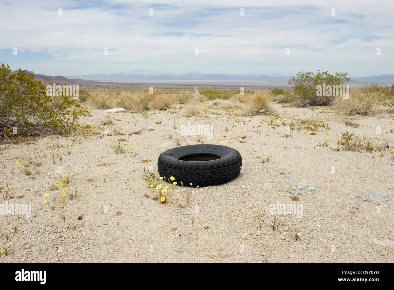 Tire dumped in the Mojave Desert, California, USA. Stock Photo