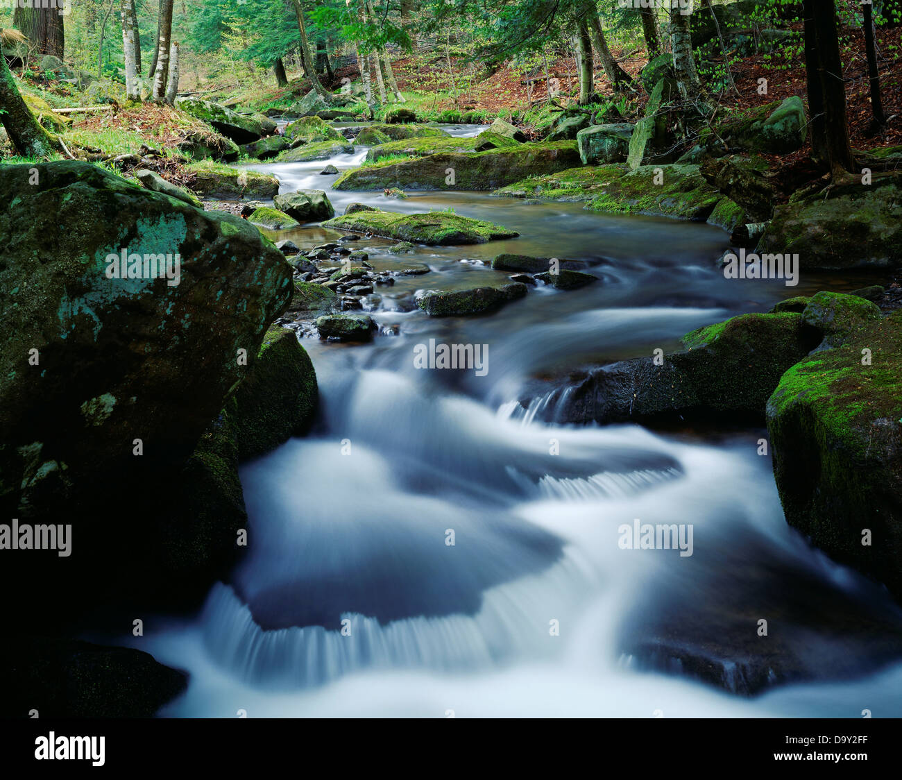 Red House Brook, Allegany State Park, New York Stock Photo Alamy