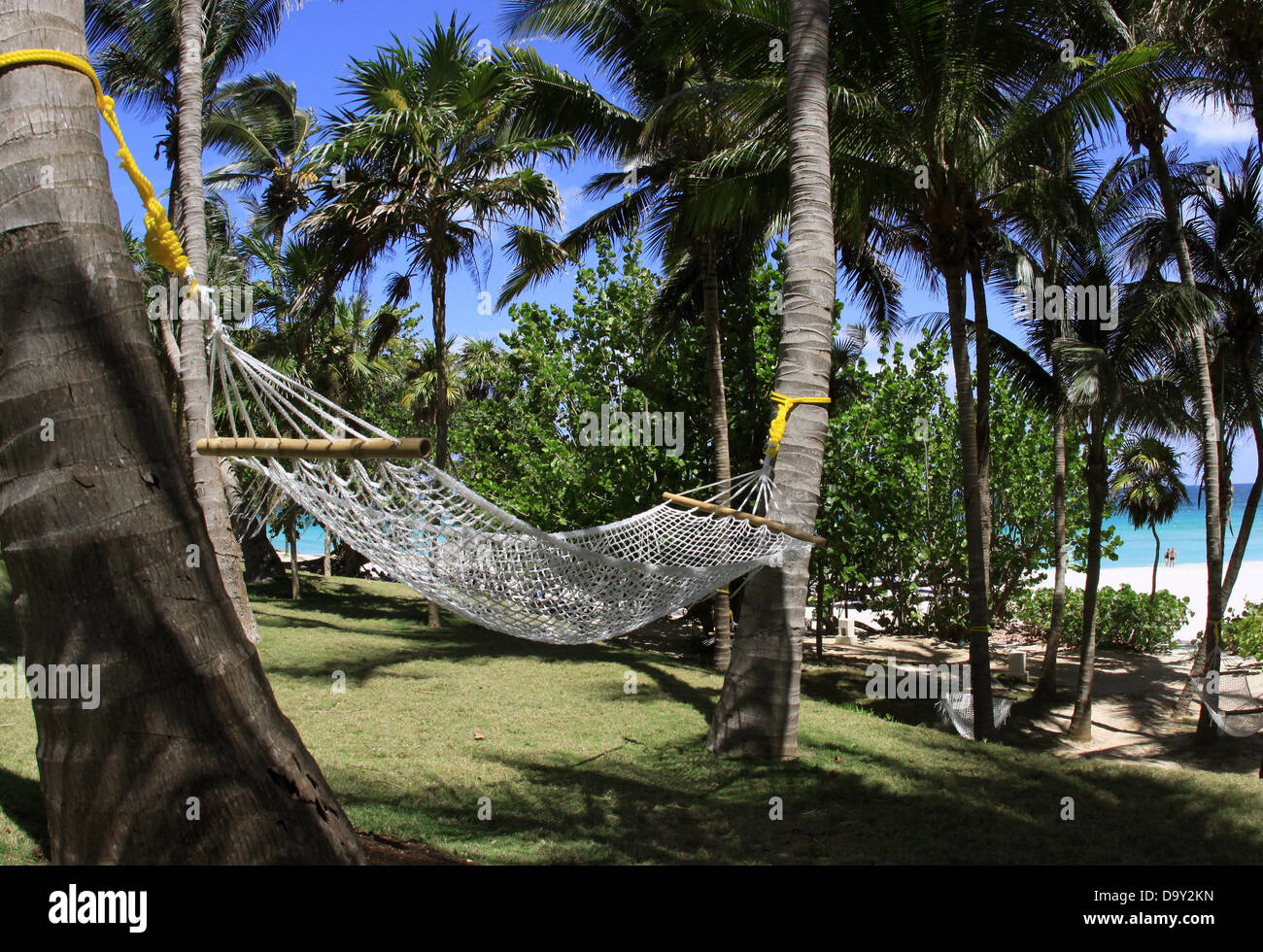 Hammocks under palm trees on the beach of Varadero, Cuba, 26 April 2013