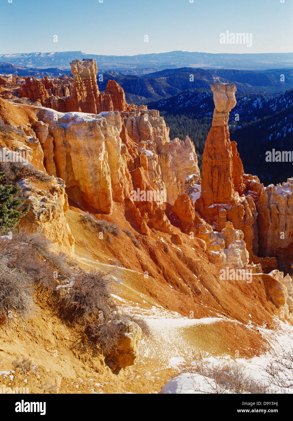 Claron Formation hoodoos including The Hunter at Agua Canyon, Bryce Canyon National Park, Utah. Stock Photo