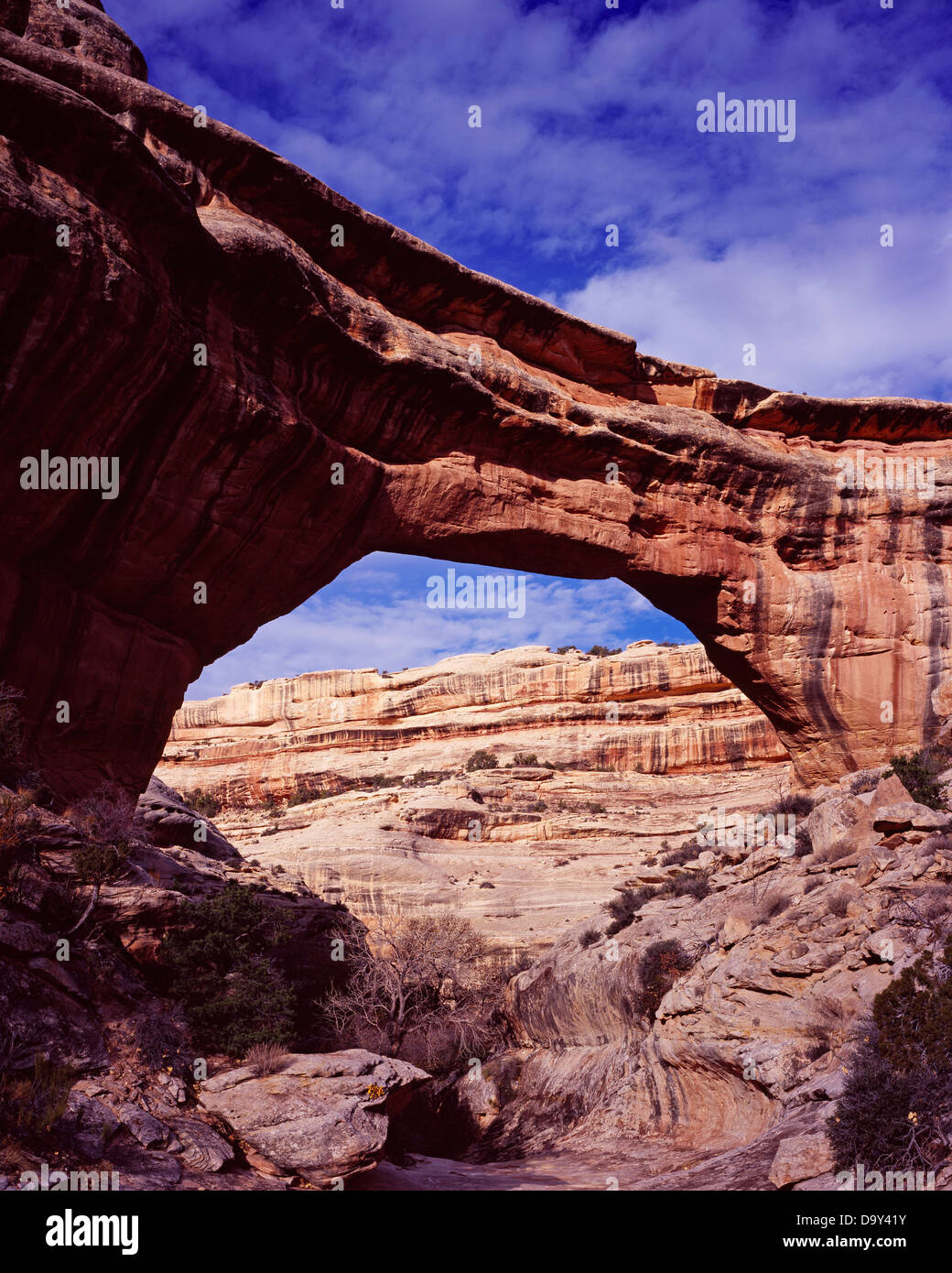 Sipapu Natural Bridge with span 268 feet height 220 feet Cedar Mesa
