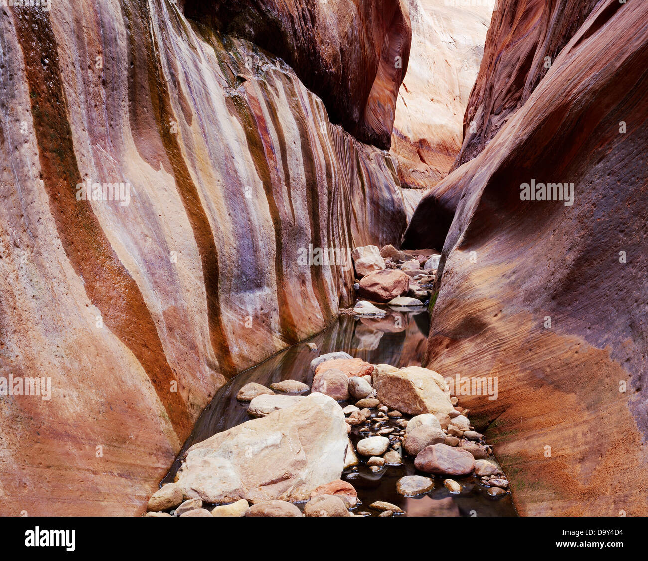 Boulder-strewn narrows Wetherill Canyon with seeps along wall Navajo Sandstone Glen Canyon National Recreation Area Navajo Stock Photo