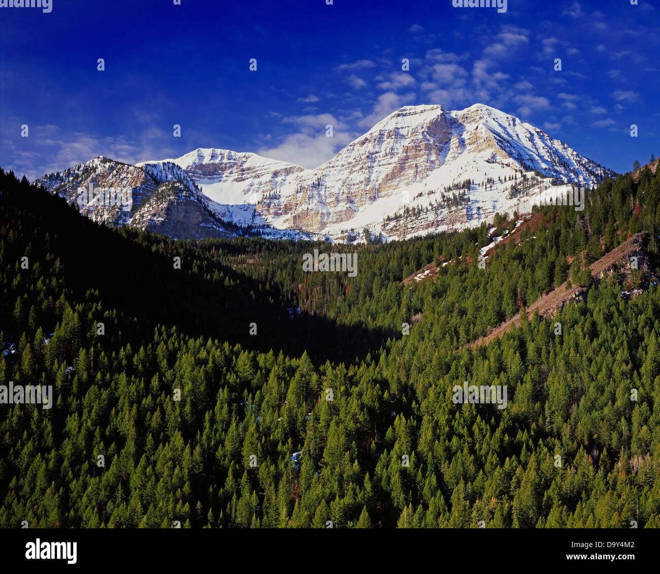 Wasatch Hop Rising Timpanagos hi-res stock photography and images - Alamy