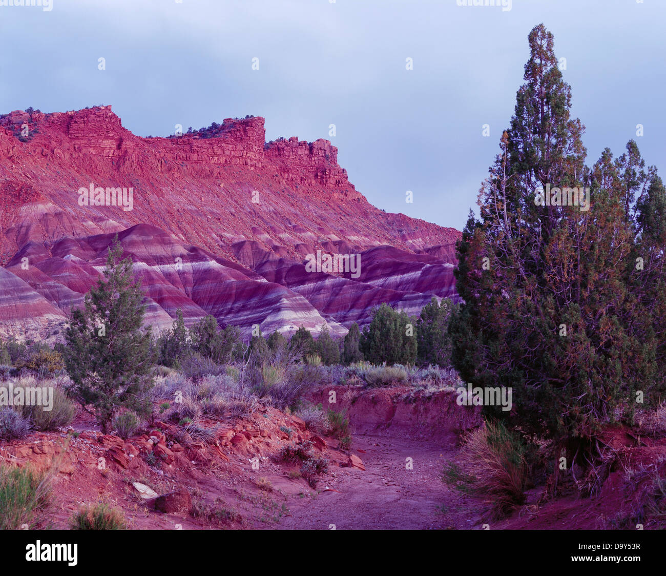 Dusk Descending Over Banded Layers Petrified Forest Member Chinle 