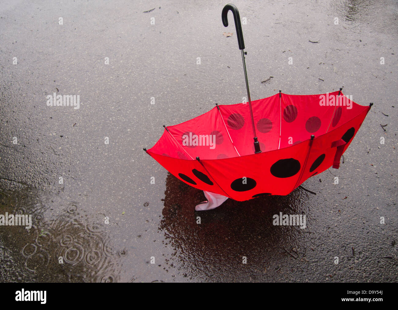 Rainy day photograph with red and black umbrella Stock Photo - Alamy