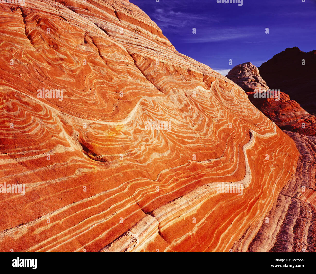 Intricate bedding pattern in wind-eroded Navajo Sandstone, Paria Canyon Vermilion Cliffs Wilderness, Utah, Stock Photo