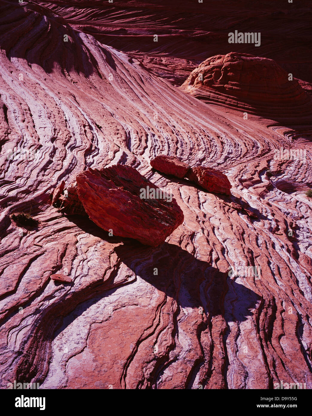 Navajo Sandstone boulders and intricate bedding pattern, Paria Canyon Vermilion Cliffs Wilderness, Utah. Stock Photo