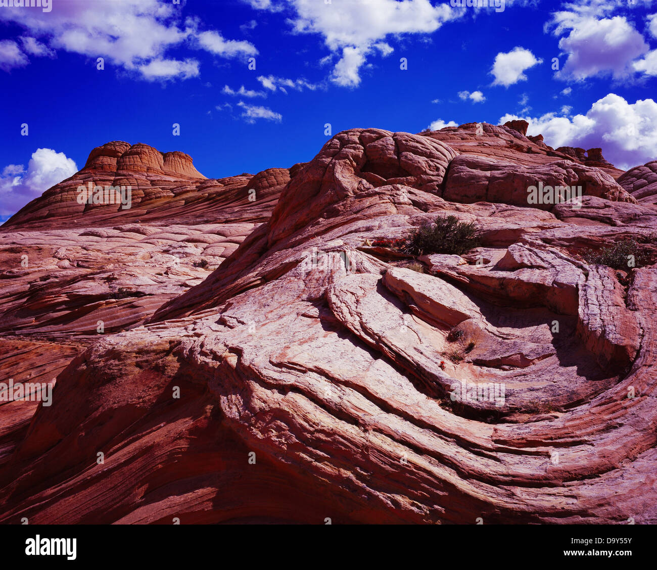 Intricate bedding pattern in wind eroded Navajo Sandstone; Paria Canyon-Vermilion Cliffs Wilderness; Utah Stock Photo