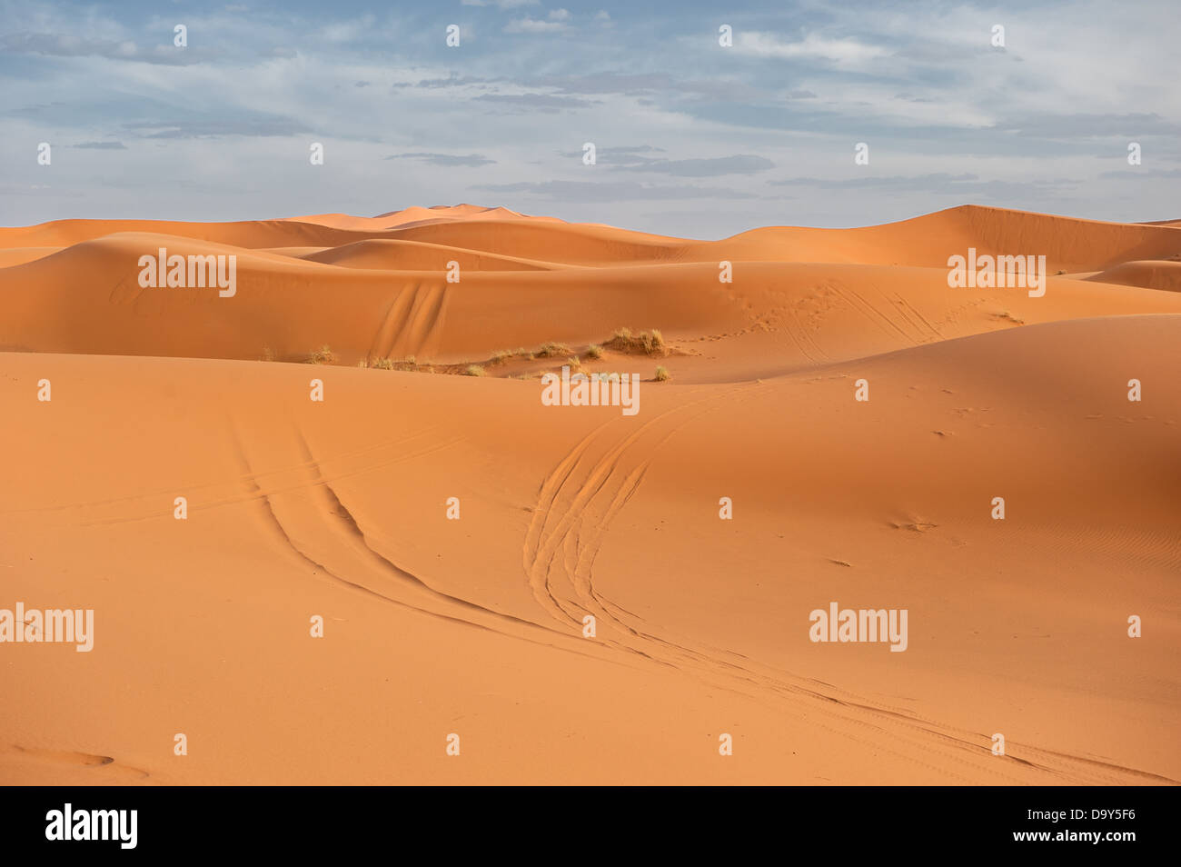 Sand dunes of Erg Chebbi, Morocco Stock Photo