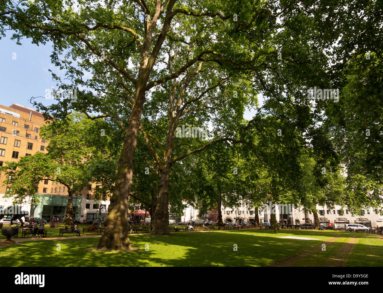 Berkeley Square, Mayfair, London Stock Photo