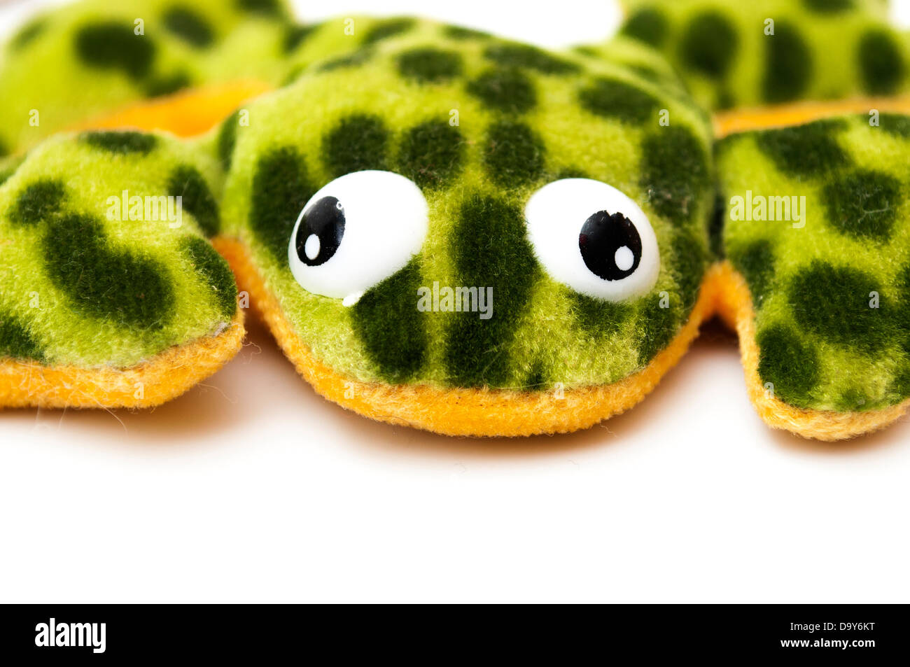 green frog on a white background Stock Photo - Alamy