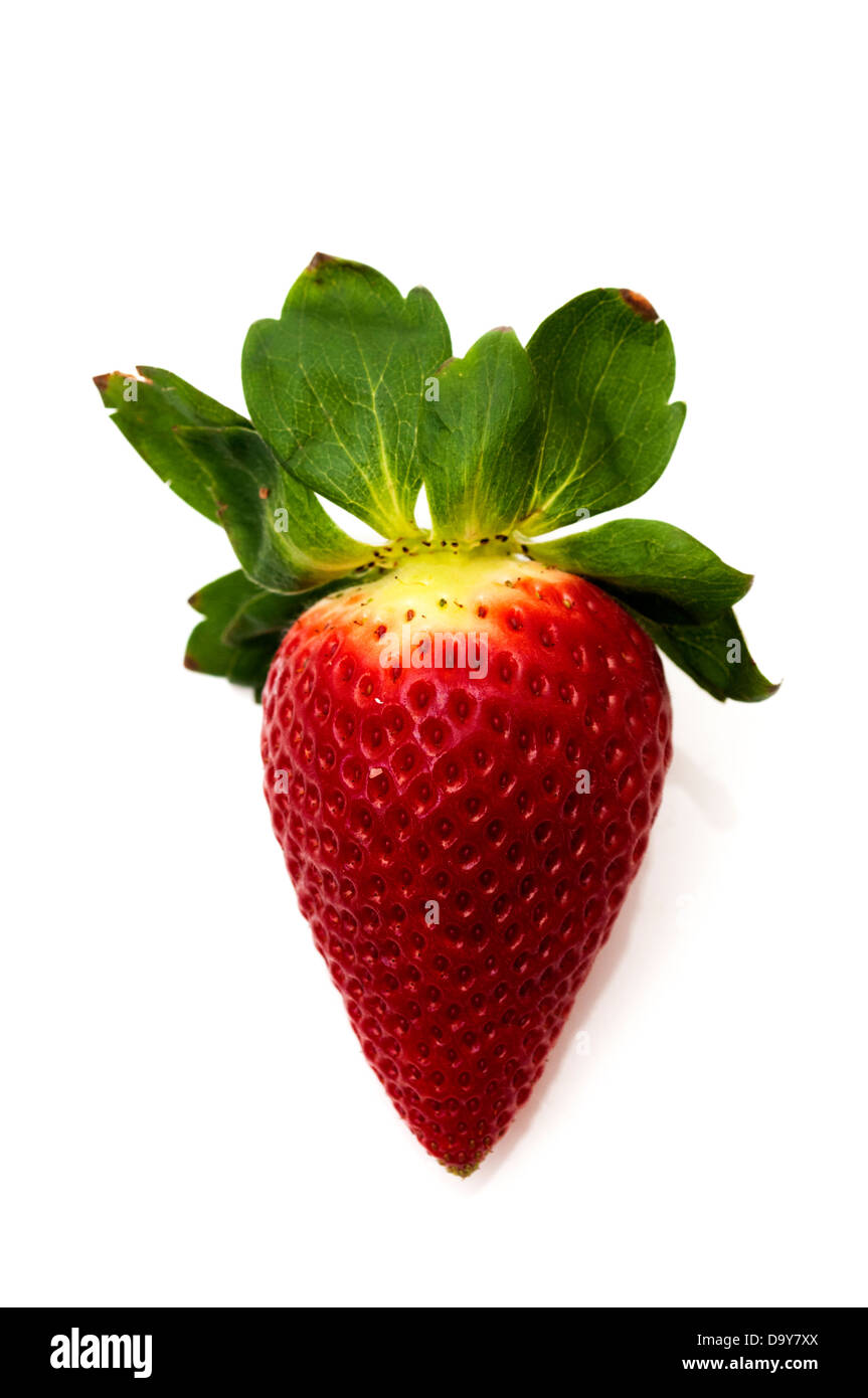 strawberries on a white background Stock Photo - Alamy