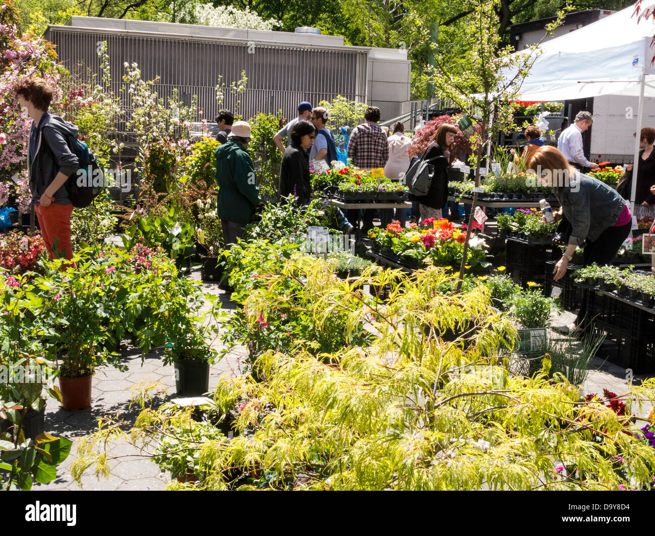 Shoppers , Union Square Greenmarket, NYC Stock Photo Alamy