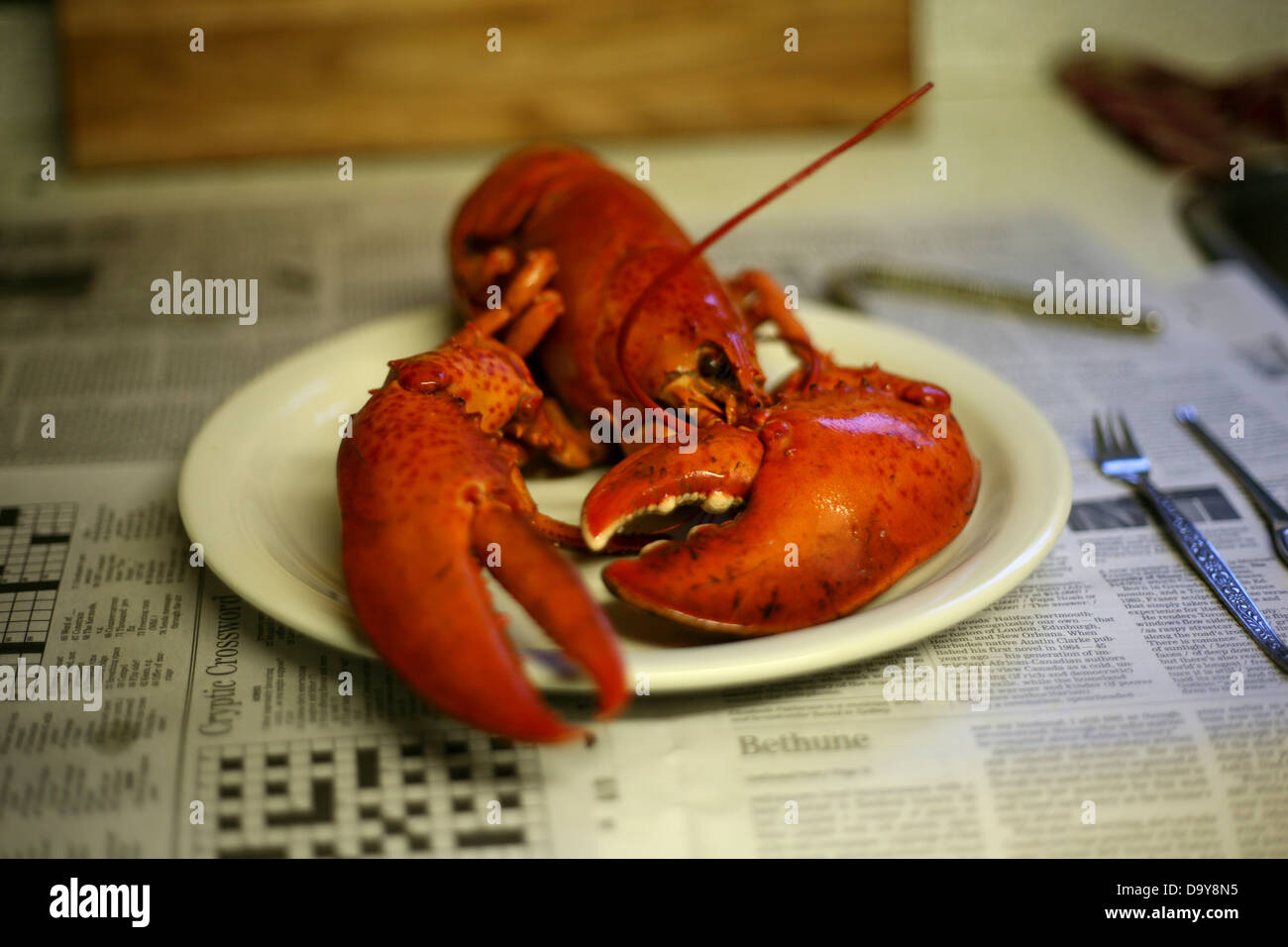 Страшен ли рак. Съедобные мелкие рачки. Признаки онкологии костей. Страшен ли рак. Профилактика онкологии.