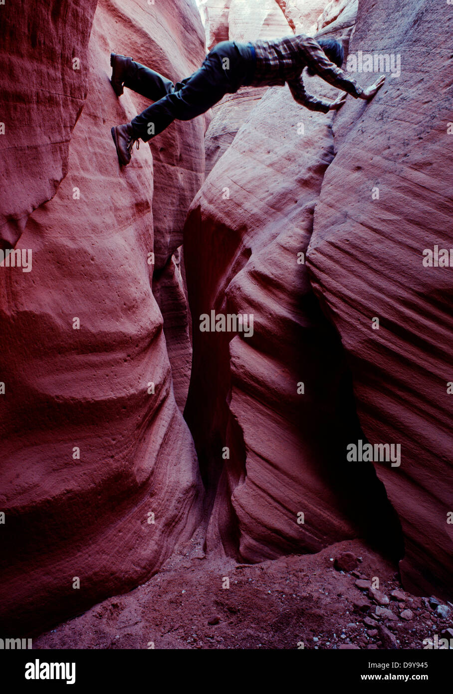 USA, Arizona, Colorado Plateau, Man chimneying to avoid extremely narrow section of Cornfield Slot Canyon Stock Photo