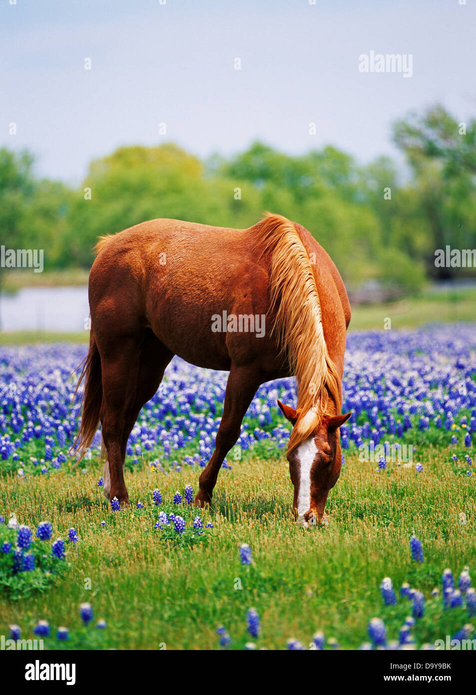Ellis county hires stock photography and images Alamy