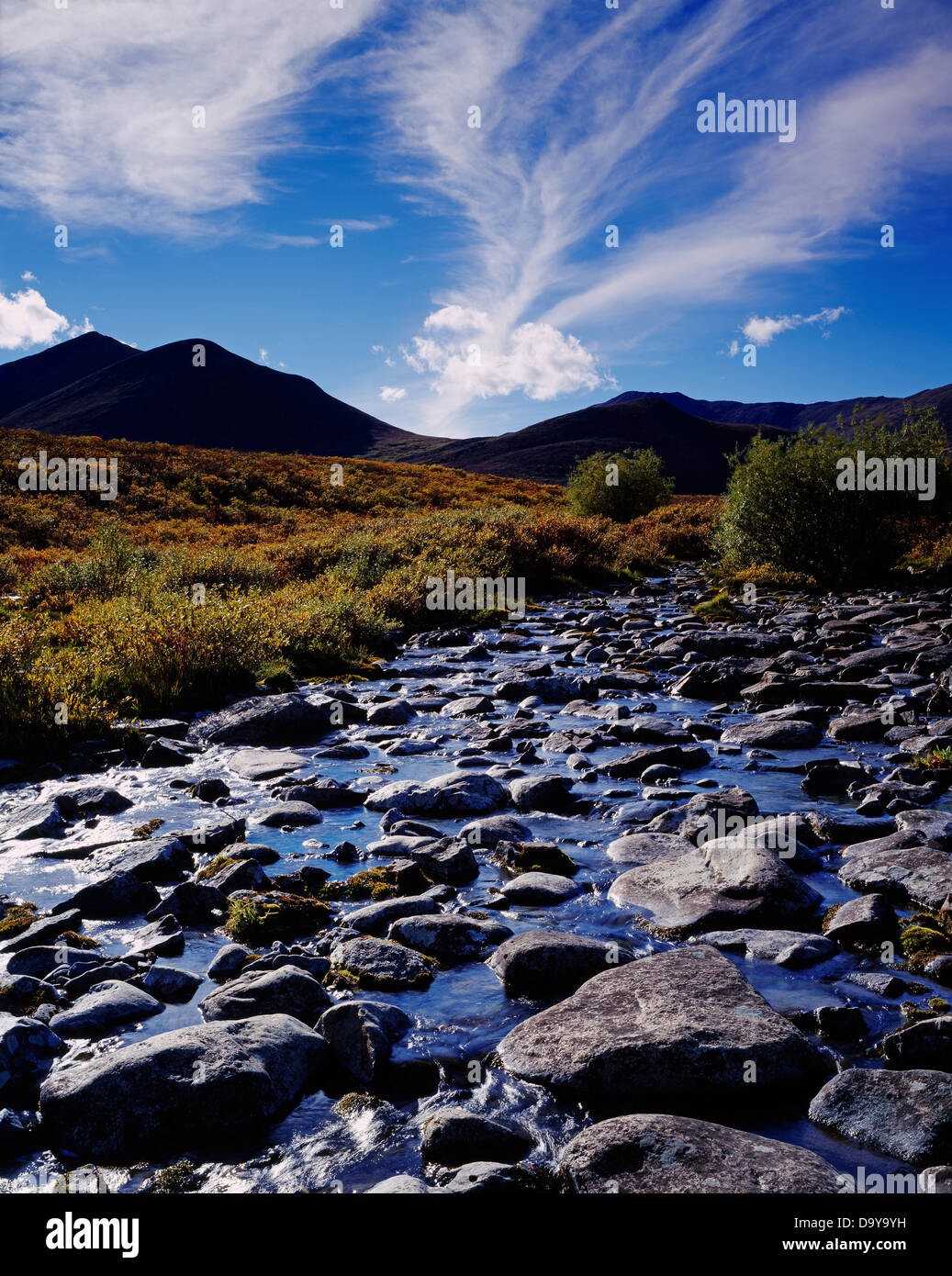 Canada, Yukon Territory, Tombstone Territorial Park, Rocky stream bed