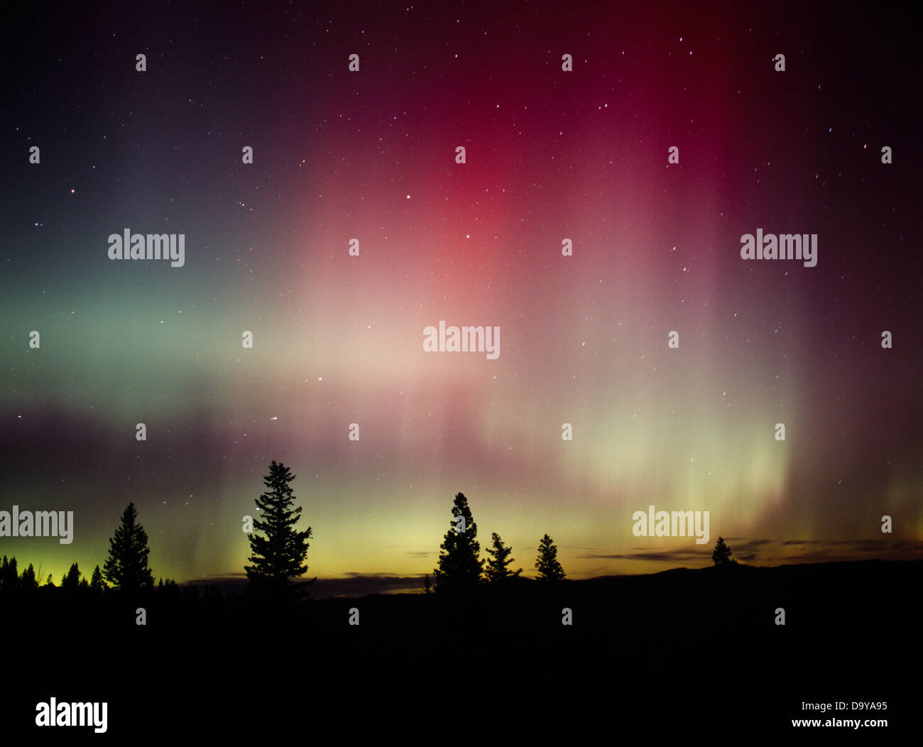 Northern lights in yellowstone hi-res stock photography and images - Alamy