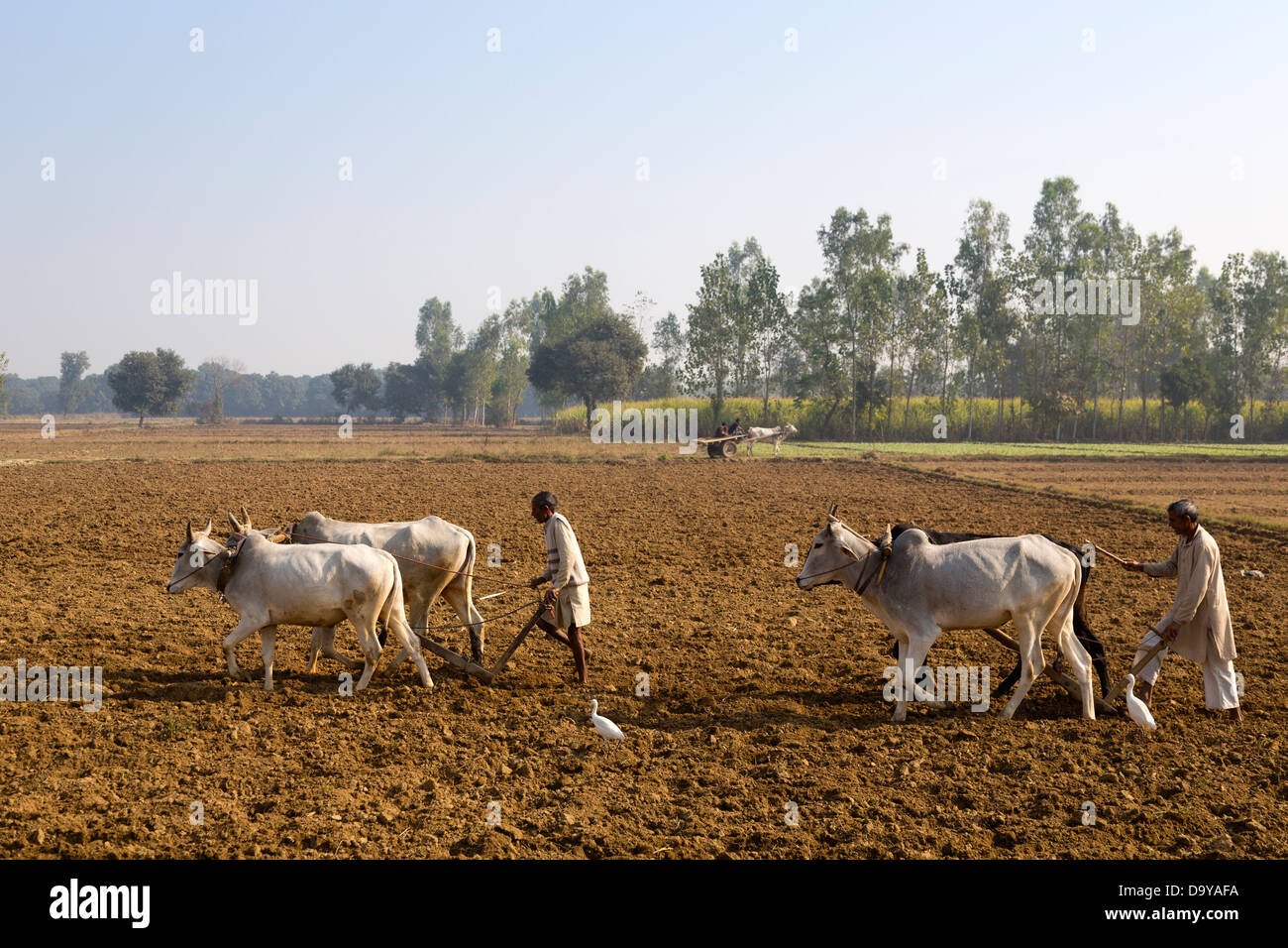 Interesting Facts I Bet You Never Knew About is there gold on other planets