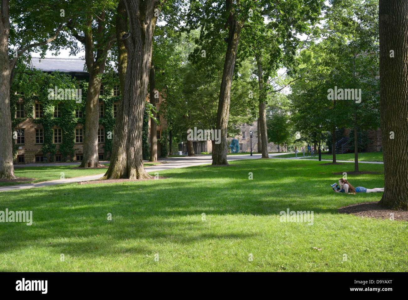 Princeton University Stock Photo