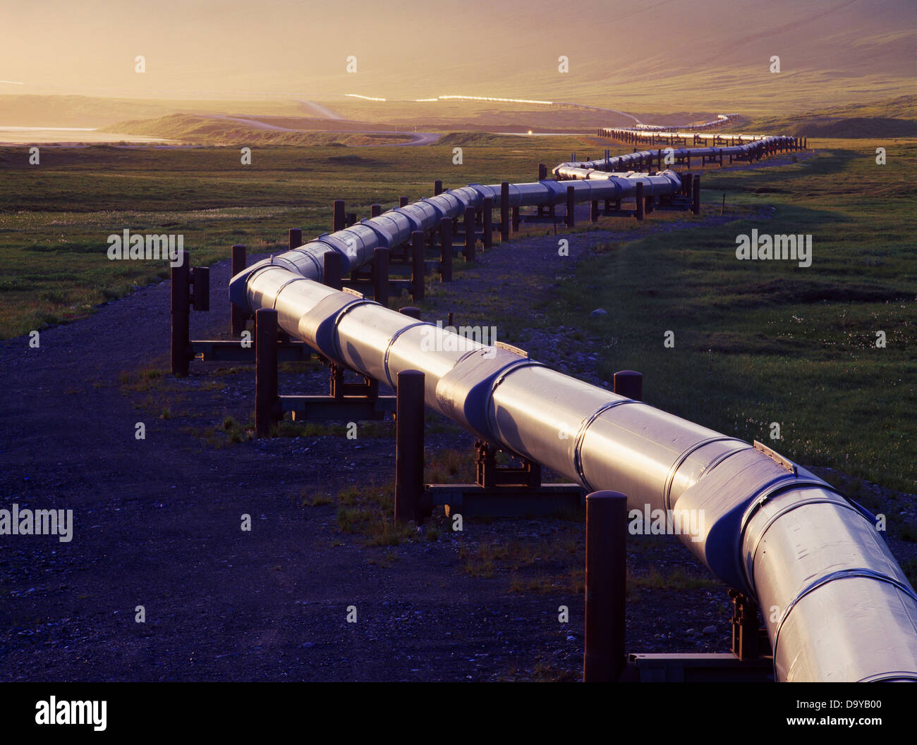 Evening light illuminating the Trans Alaska Pipeline north of Pump Station 4, Alaska. Stock Photo