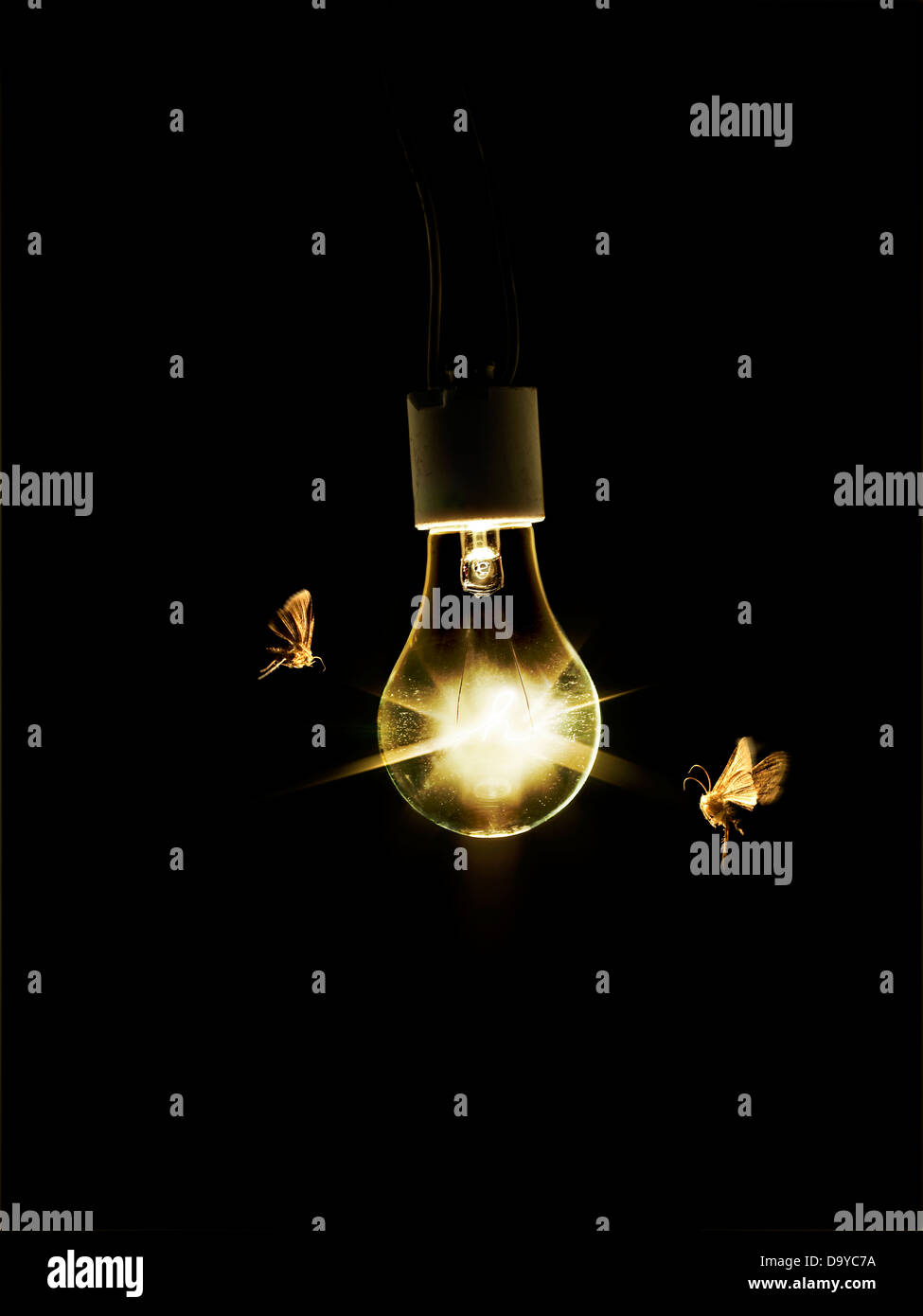 Light Bulb with Moths Stock Photo