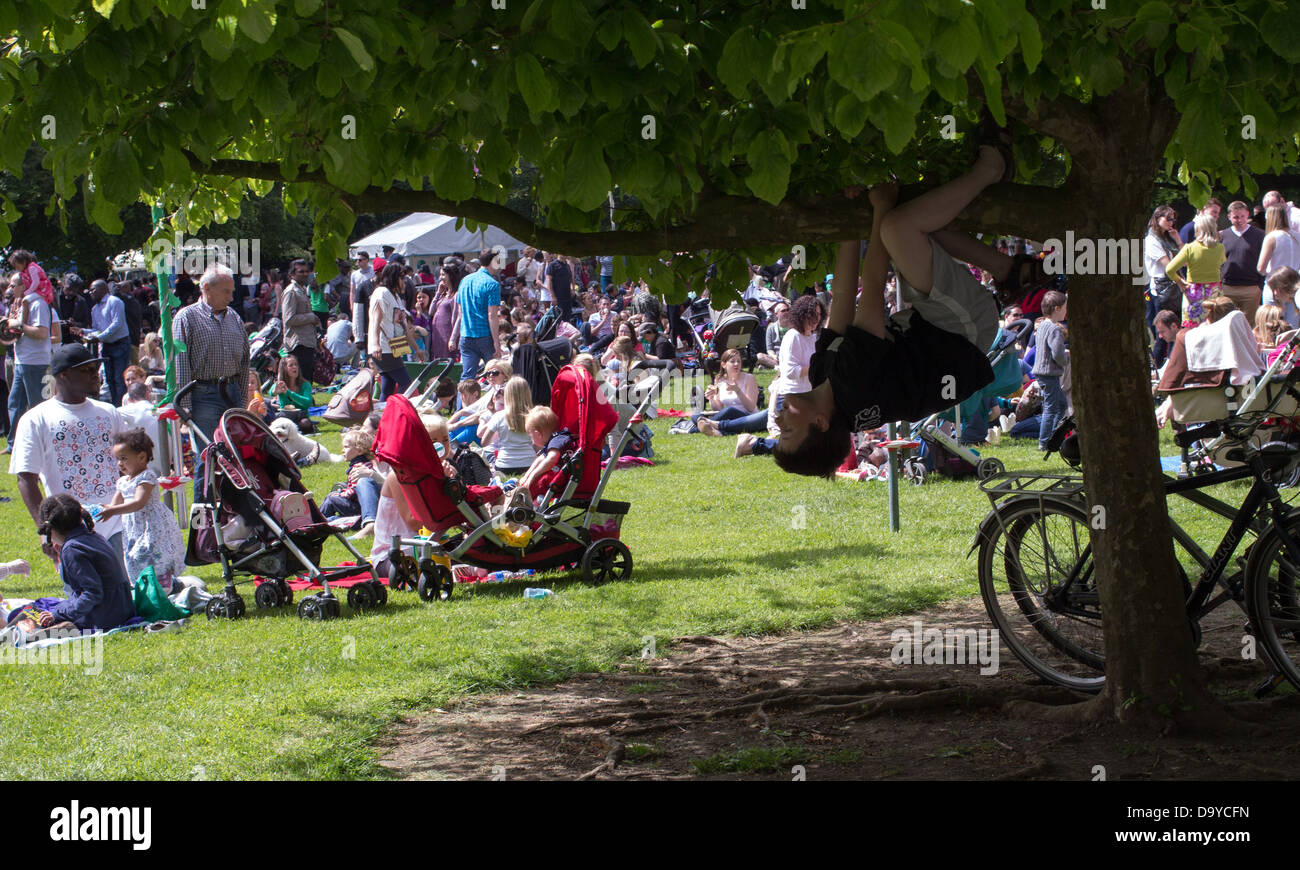 Boy hanging from a tree, Farmleigh House, Phoenix Park, Dublin, Ireland. Stock Photo