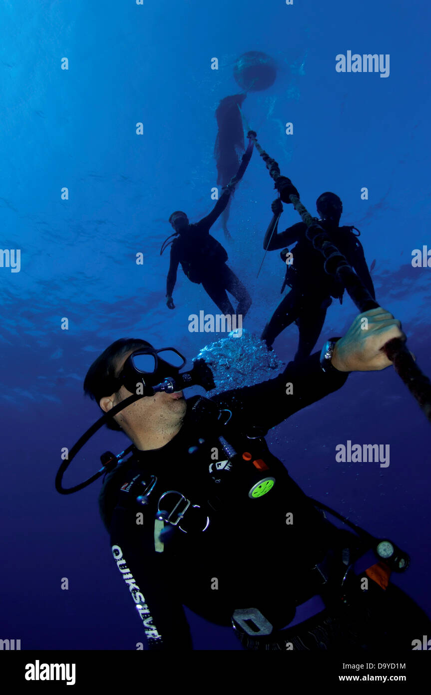 Scuba divers descending down a rope line, Gaafu Alifu Atoll, Maldives Stock Photo