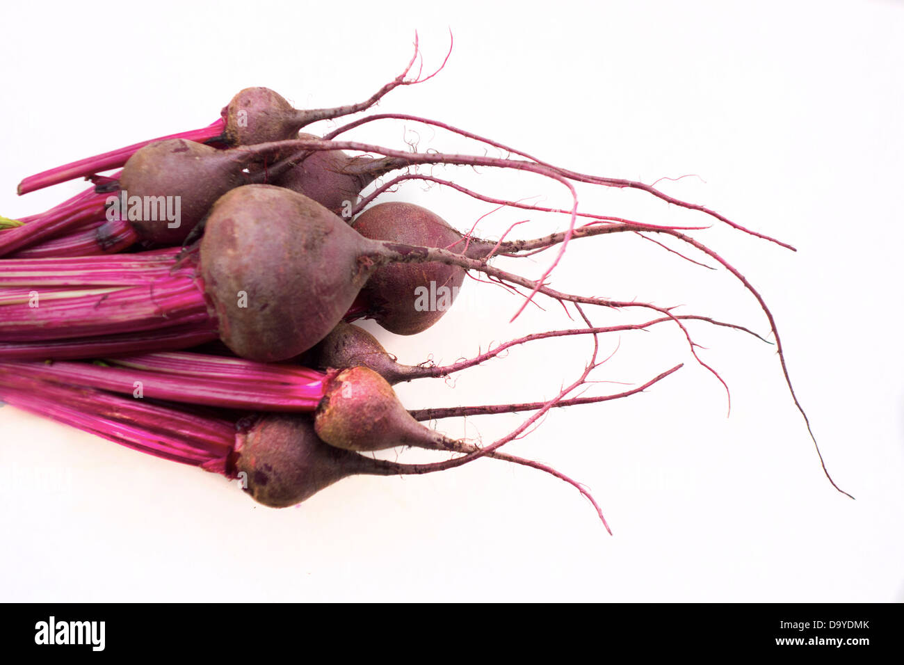 red beets Stock Photo