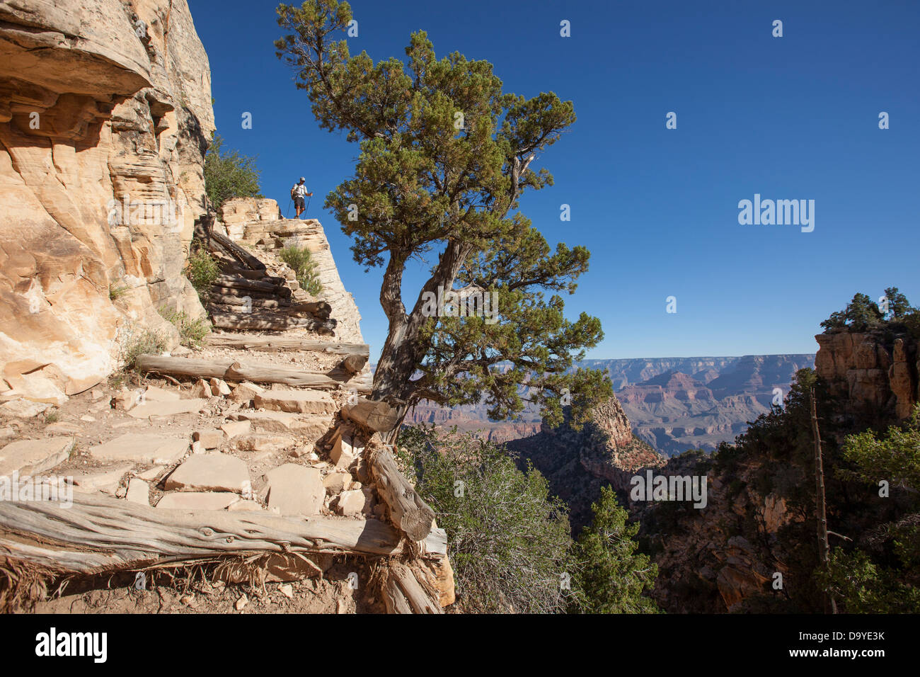 Exposed trail hires stock photography and images Alamy