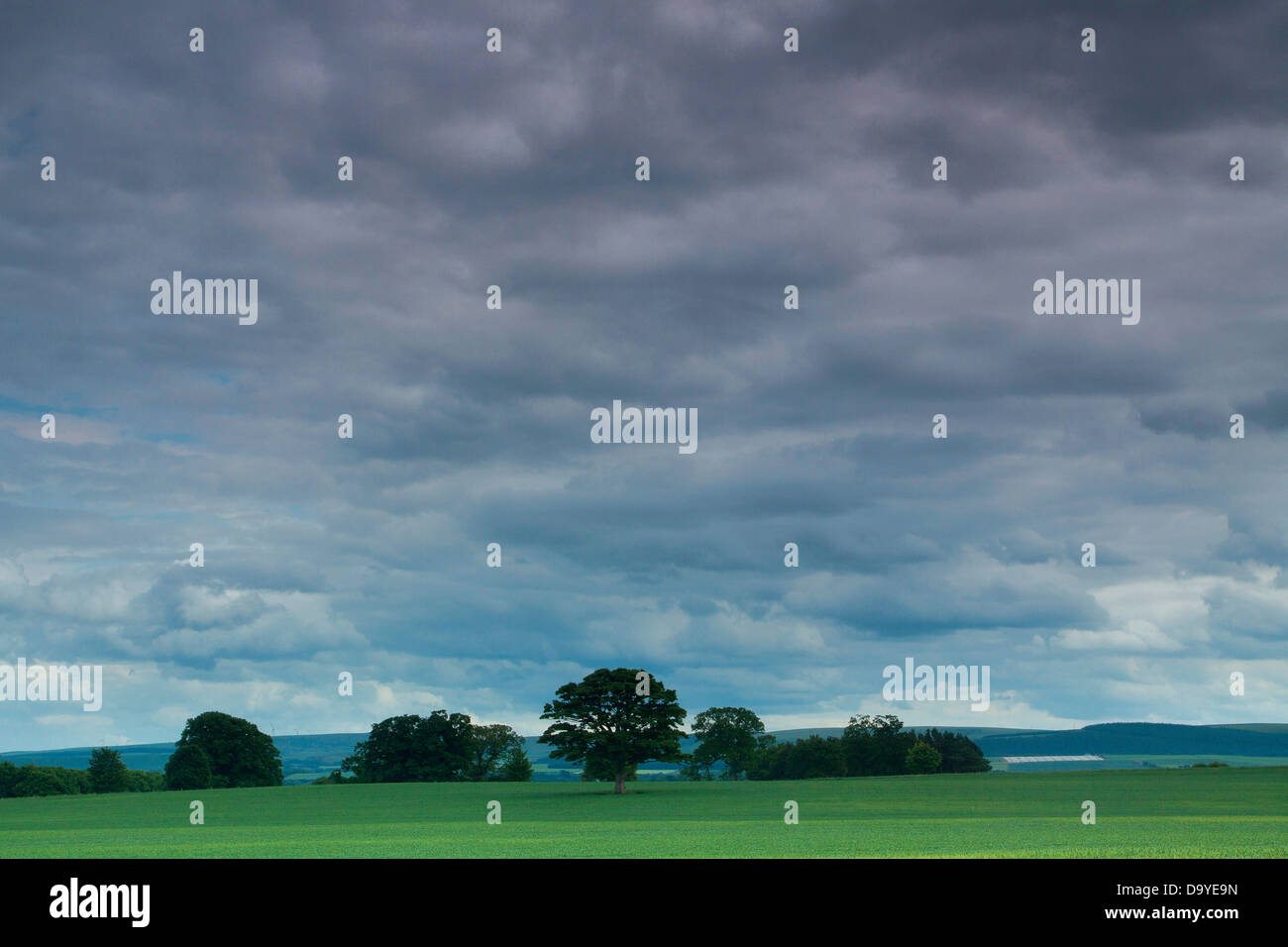 Tyninghame Links, East Lothian Stock Photo - Alamy