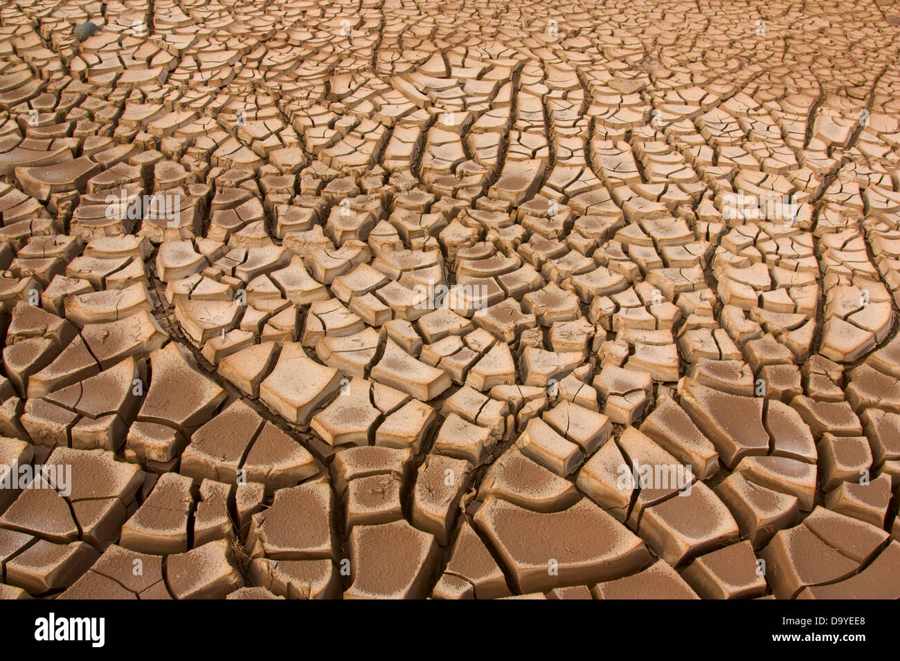 Mud cracks Stock Photo