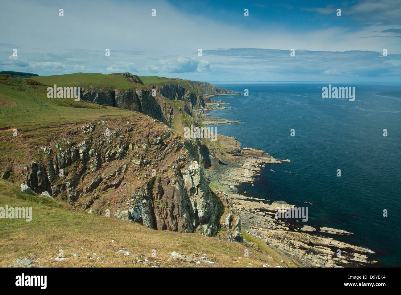 The Scottish Borders Coast from near St Abbs Head Nature Reserve, Scottish Borders Stock Photo