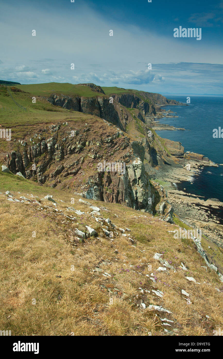The Scottish Borders Coast from near St Abbs Head Nature Reserve, Scottish Borders Stock Photo