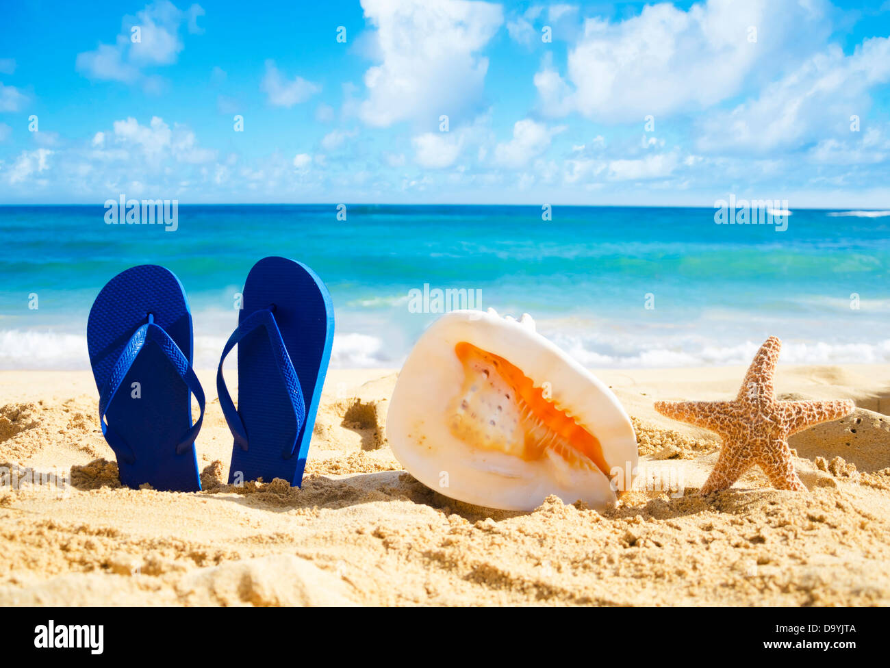 Blue Flip flops, big seashell and starfish on sandy beach in Hawaii ...