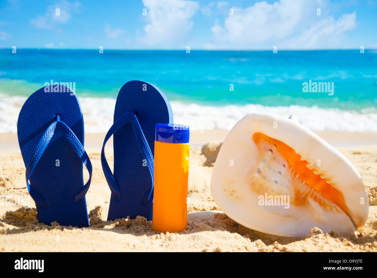 Flip flops and starfish with sunglasses on sandy beach in Hawaii, Kauai ...