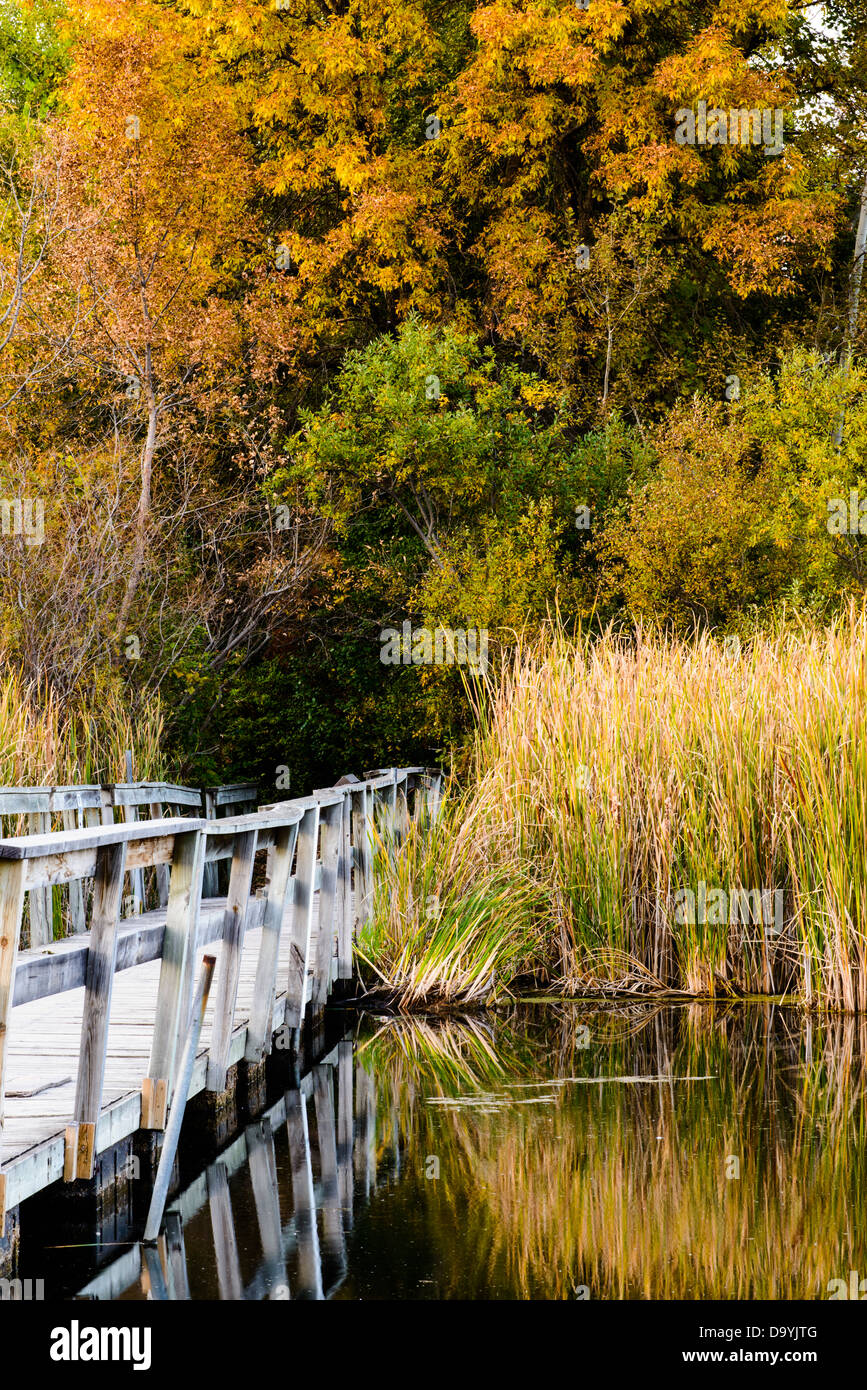 Board walk over a wetland area of Springbrook Nature Center. Stock Photo