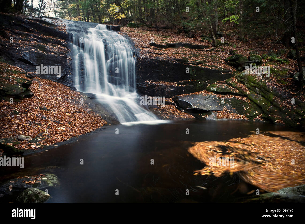 A small river cascades over a waterfall in the woods in autumn. Stock Photo