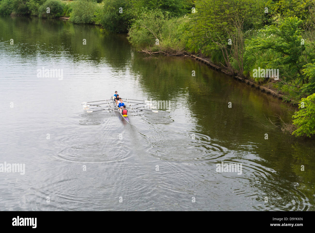 Rowing, York, England, June Stock Photo Alamy