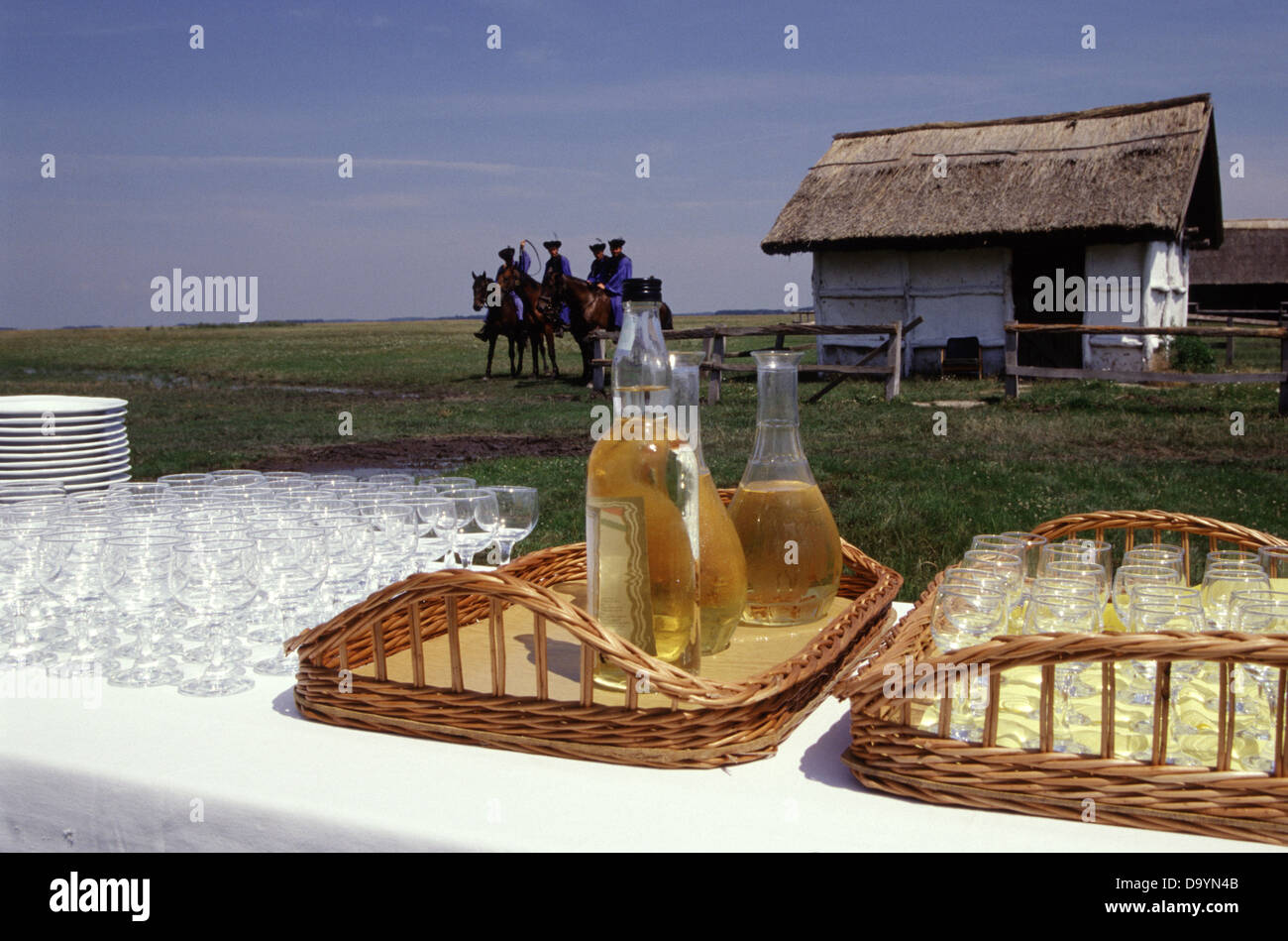 Bottles of local Palinka fruit brandy served in a catering event in a rural settlement in Hortobagy Puszta national park in Eastern Hungary Stock Photo