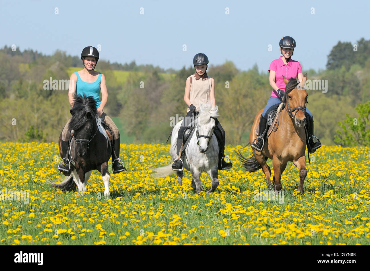 Three young riders on back of ponies riding a flower meadow Stock Photo ...
