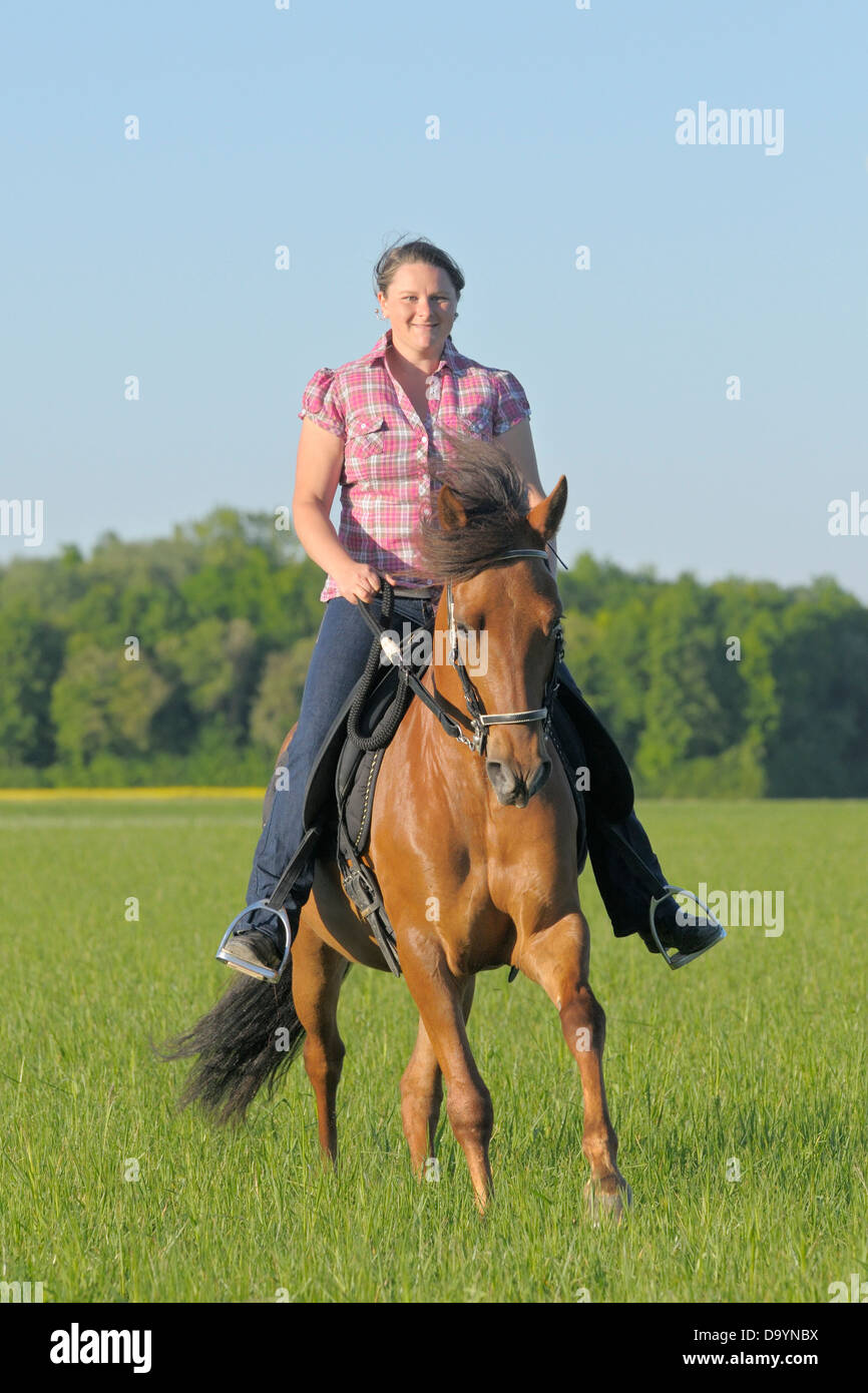 Young rider galloping on back of her Paso Fino horse Stock Photo