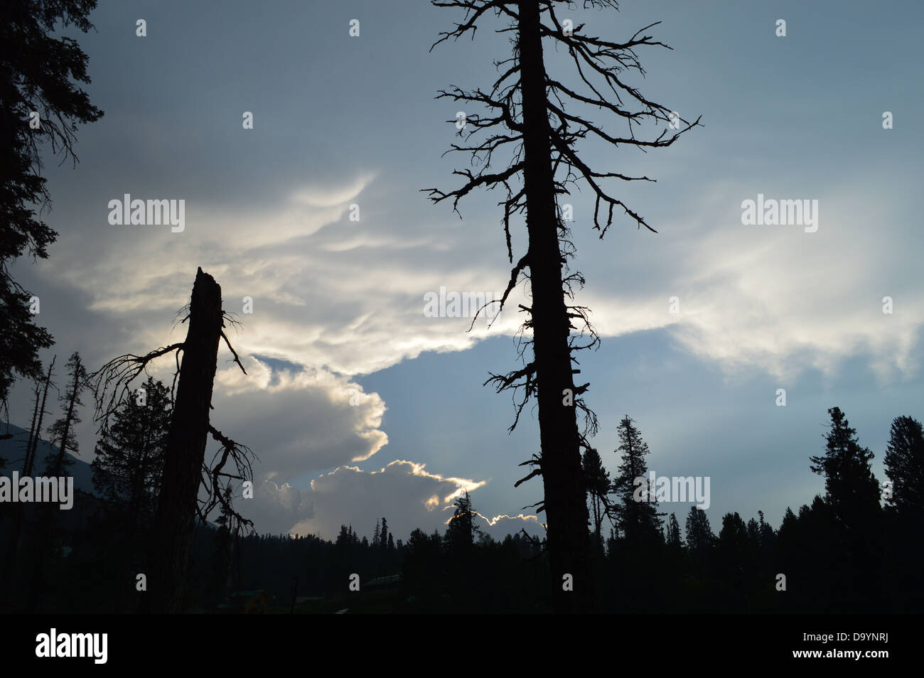 Clouds, Sunset,Landscape, Sky, Trees, Autumn, India, Summer, Evening, Dusk, Kashmir Stock Photo