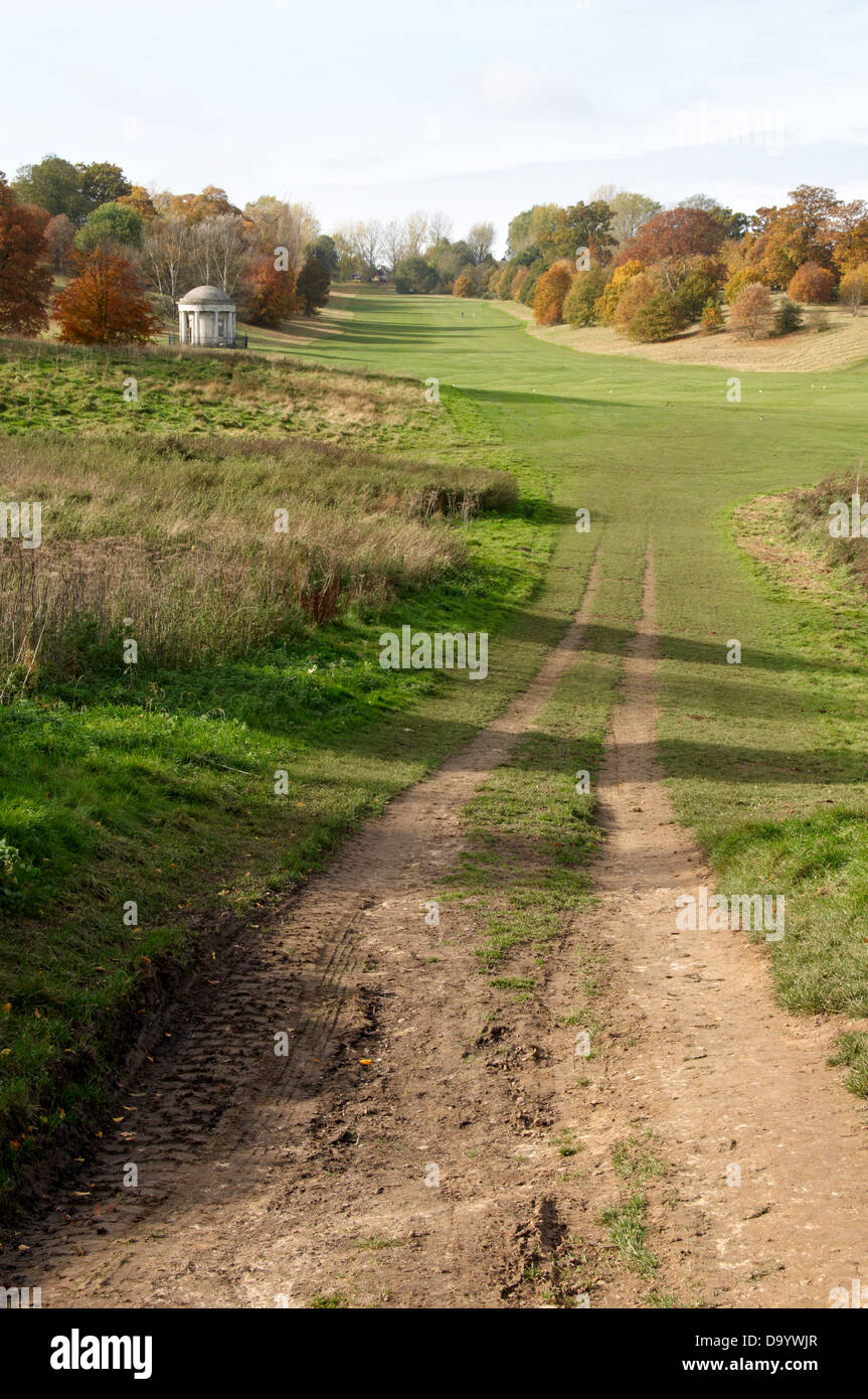 Trees in a park in Autumn Stock Photo - Alamy