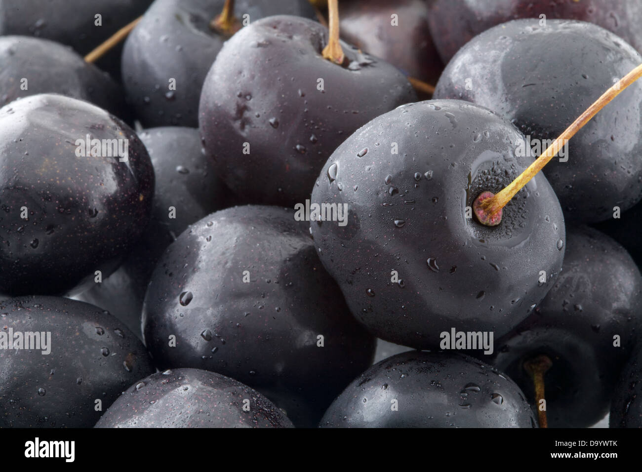 Black cherries hires stock photography and images Alamy