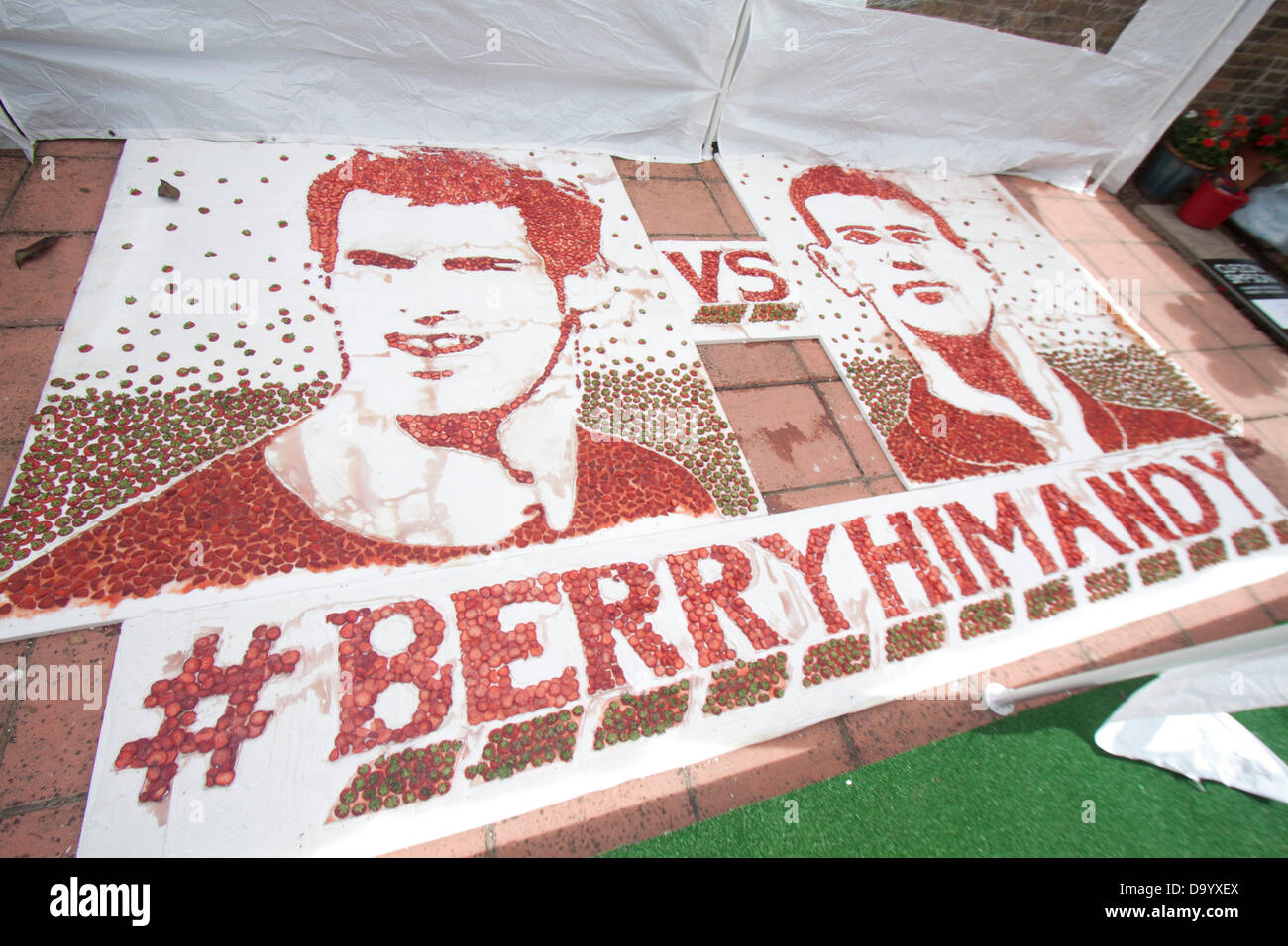 Wimbledon, London, UK. 29th June 2013. A Giant portrait of Andy Murray has been created out of strawberries and cream which also features the Serbian tennis player Novak Djokovic which is on display at the Curzon gallery in Wimbledon Credit:  amer ghazzal/Alamy Live News Stock Photo