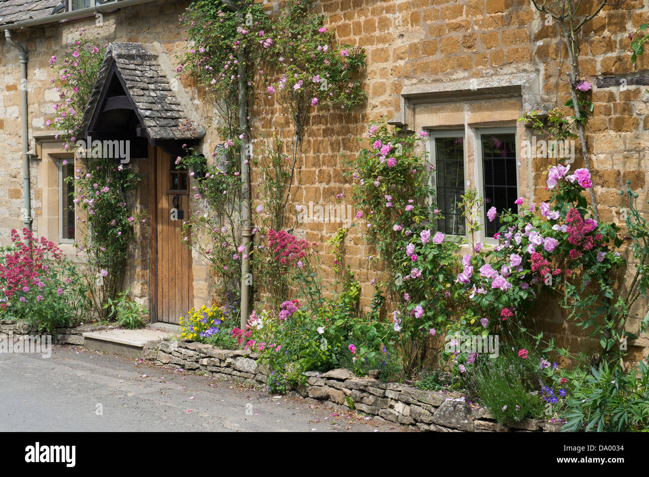 Roses growing up the front of a Cotswold stone cottage. Icomb, Cotswolds, Gloucestershire, England Stock Photo