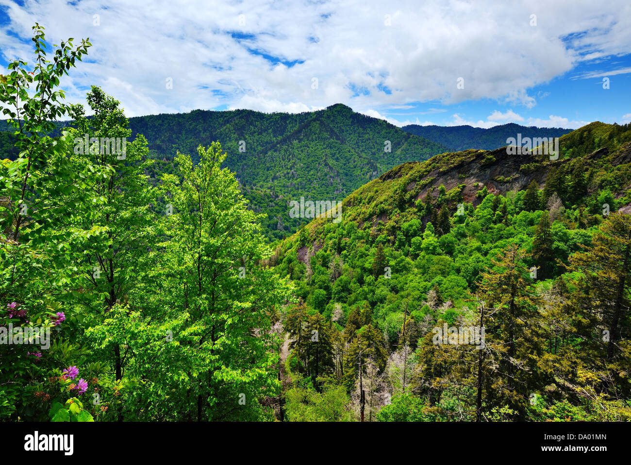Summer landscape in the Smoky Mountains near Gatlinburg, Tennessee. Stock Photo