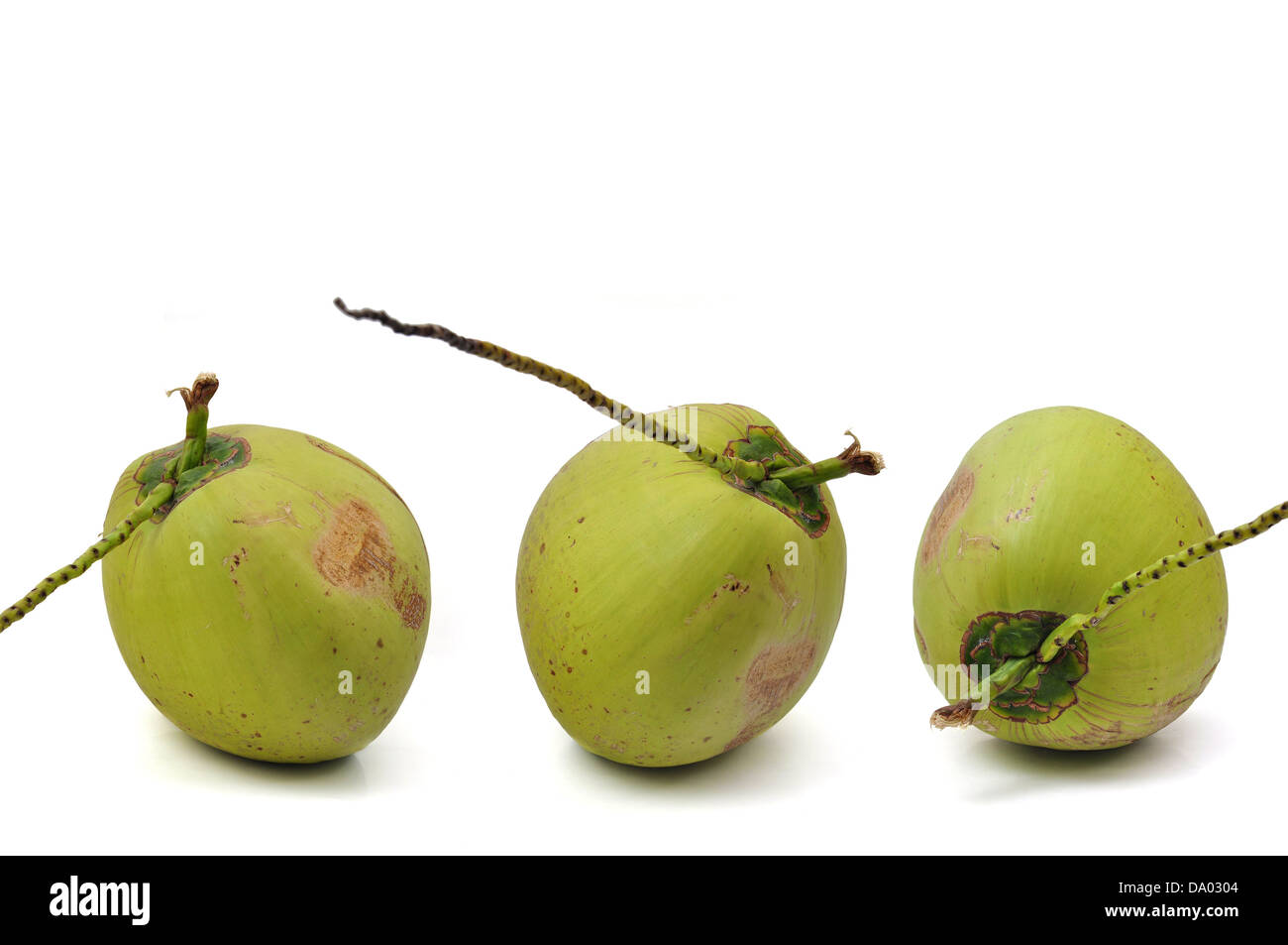 Coconuts shell Stock Photo Alamy